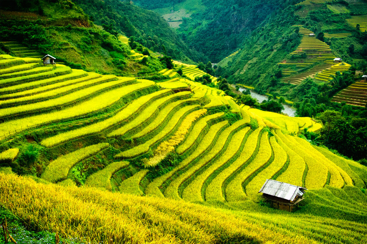 Explore Vietnam Tours Experience the Best of Southeast Asia
