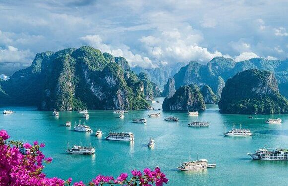 Электронная виза во Вьетнам (E-visa)